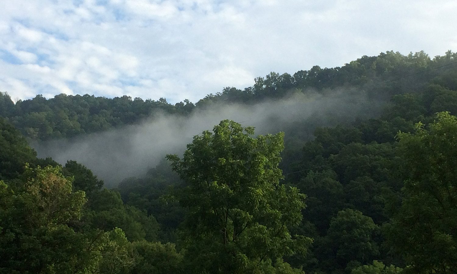 View from Friends Drift Inn Farm, Appalachian Mountains in summer with green foliage and fog
