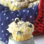 Cardamom Blueberry Muffin Recipe for your Picnic Basket