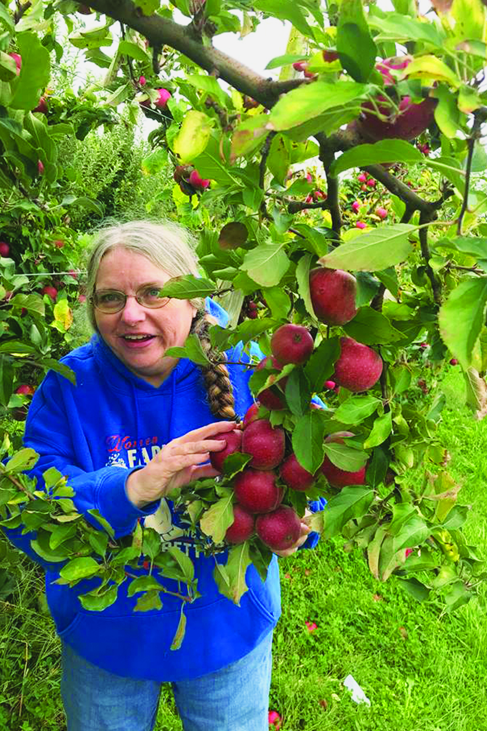 Joyce Pinson of Friends Drift Inn searching for the perfect apples in a Kentucky orchard.
