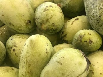 What is a pawpaw? Largest USA native fruit.