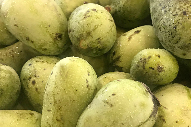 What is a pawpaw? Largest USA native fruit.