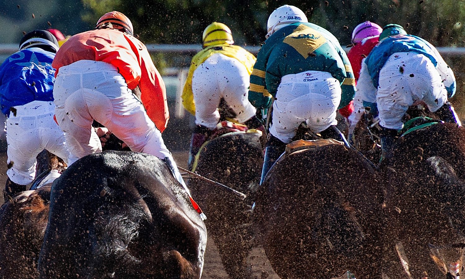 Kentucky Derby Party - horse racing