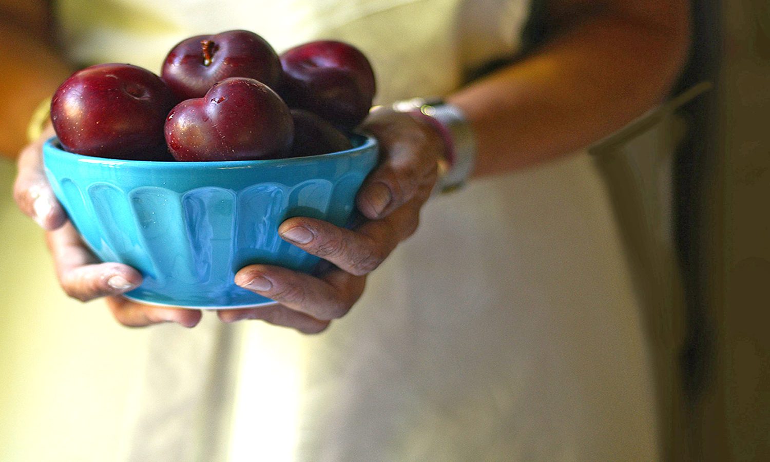 Woman in white apron bringing bowl of apples to Thanksgiving table