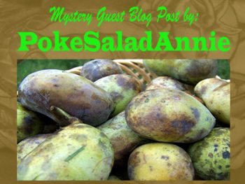 pawpaw poke salad annie | Friends Drift Inn