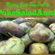 pawpaw poke salad annie | Friends Drift Inn