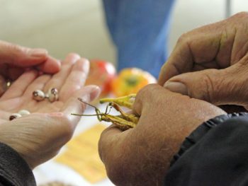 seed swap - Bill Best | Friends Drift Inn