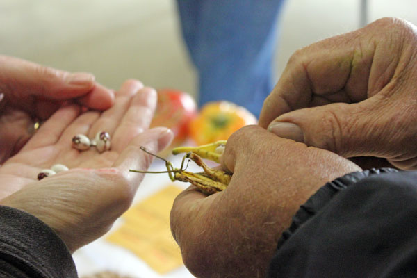 seed swap - Bill Best | Friends Drift Inn