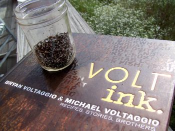 Volt Ink | Friends Drift Inn