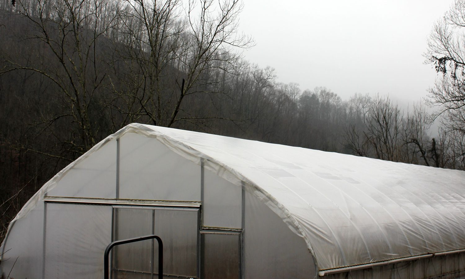 January Friends Drift Inn High Tunnel "resting"