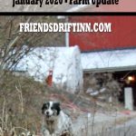 When Farmers Rest - Article photo with barn, high tunnel and dog running